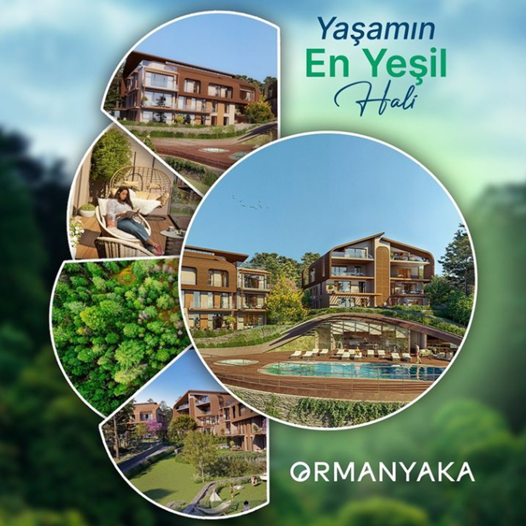 mona yapı kapak 2024